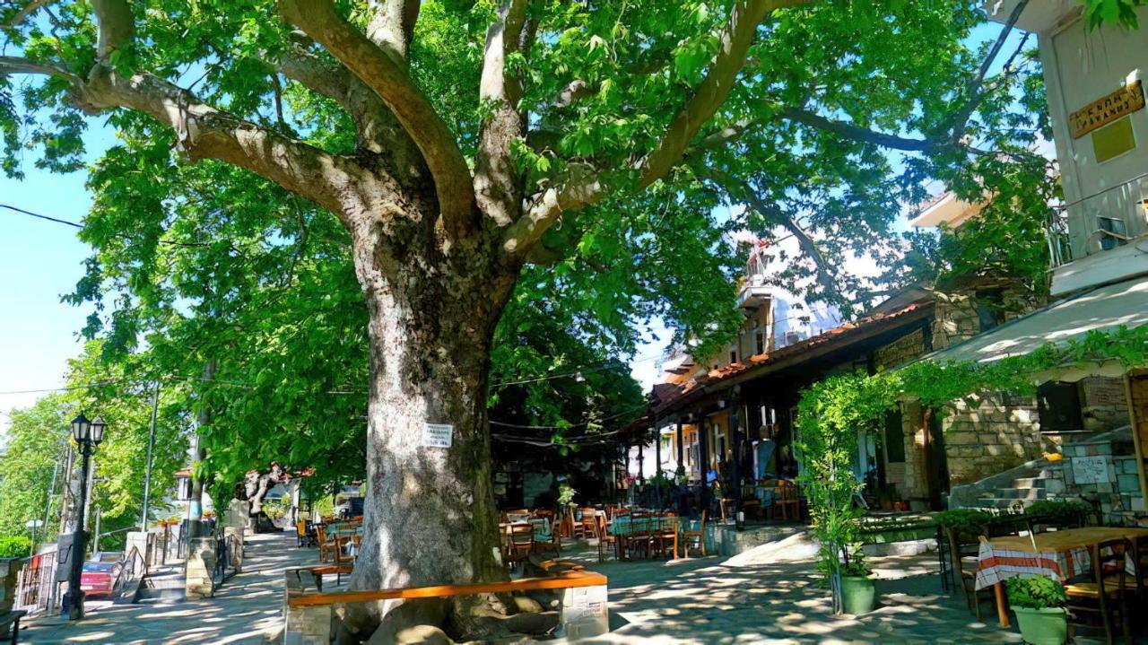 Rapsani Panorama Villa Esterno foto