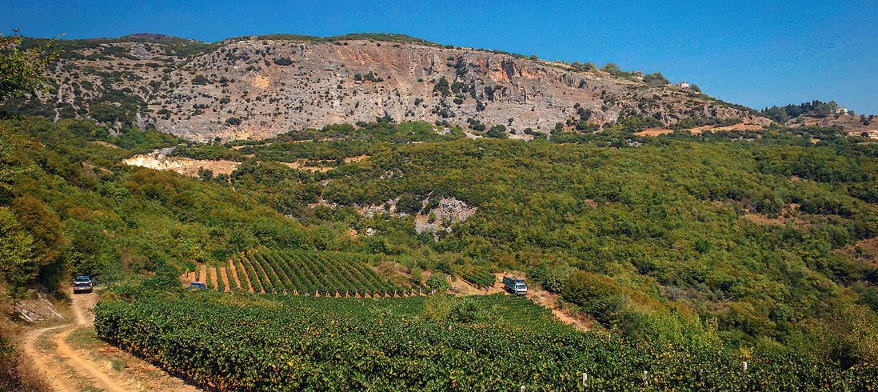 Rapsani Panorama Villa Esterno foto
